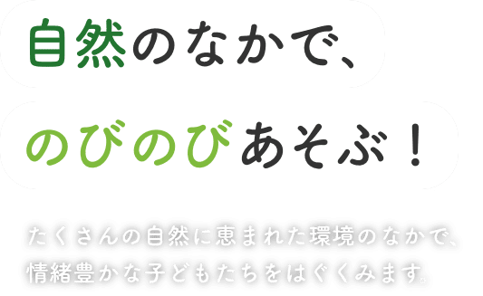 自然のなかで､のびのびあそぶ ! たくさんの自然に恵まれた環境のなかで、情緒豊かな子どもたちをはぐくみます。